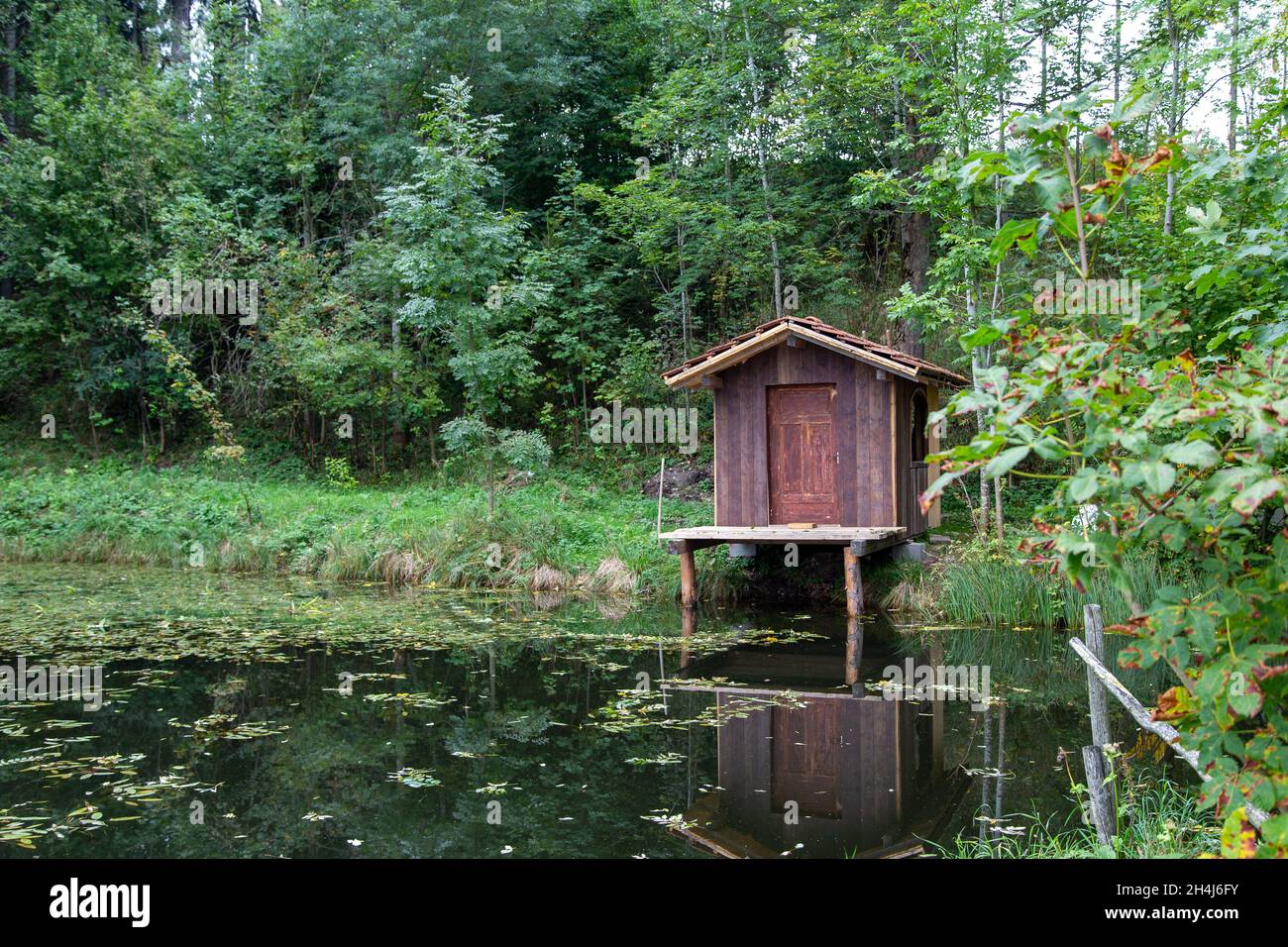 small idyllic pond with boat hut and bathing jetty Stock Photo