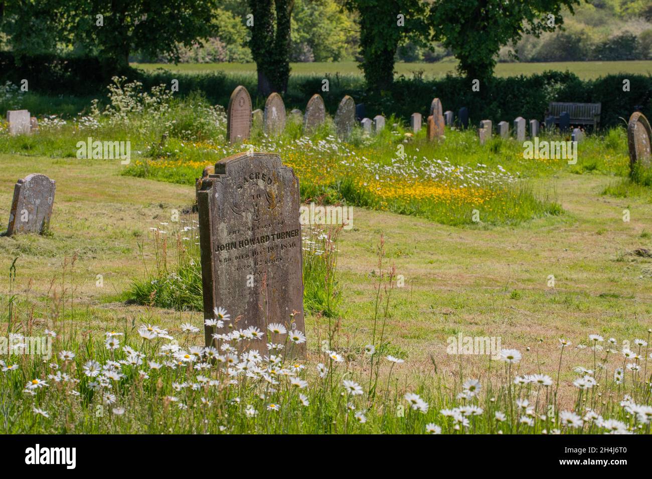 Back to nature, a managed churchyard, grave yard, with areas left  and seasonally mown, with wildlife, biodiversity, animal and plant, given considera Stock Photo