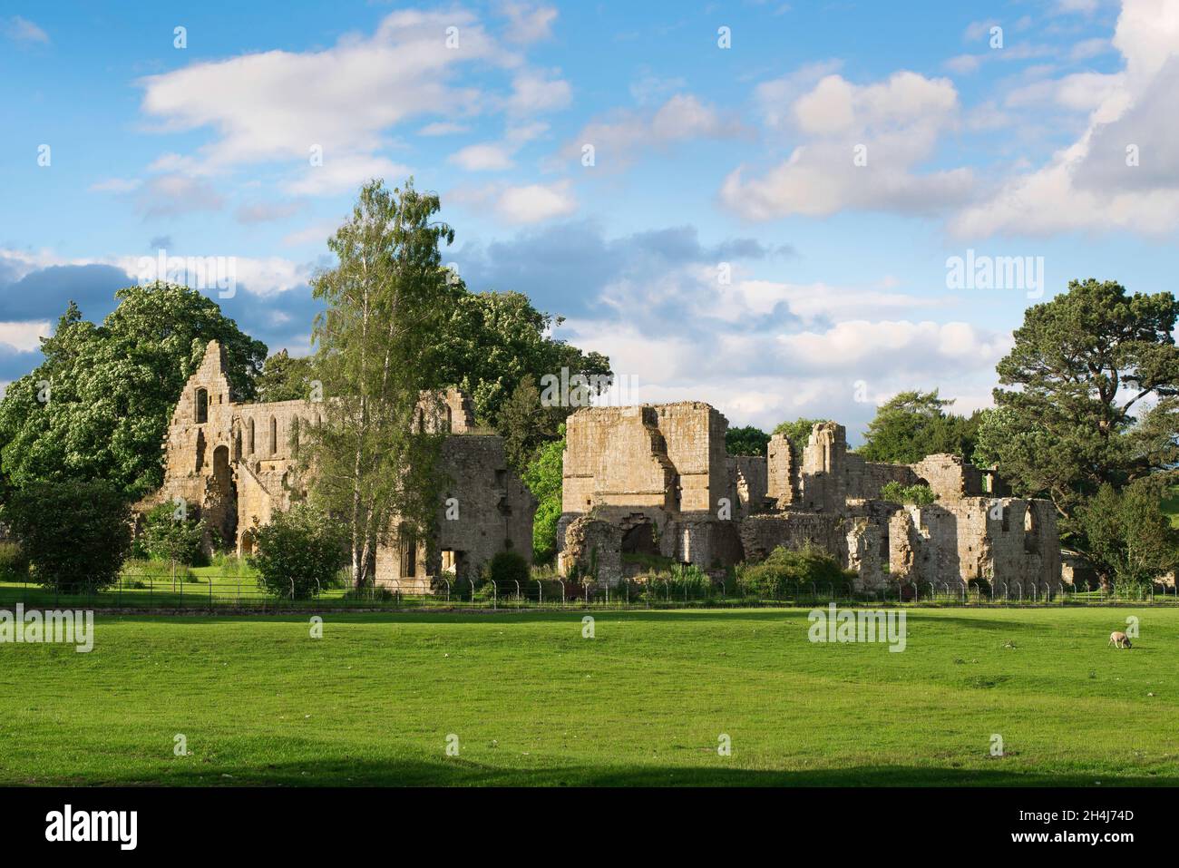 Jervaulx Abbey Yorkshire, view in summer of the atmospheric ruins of