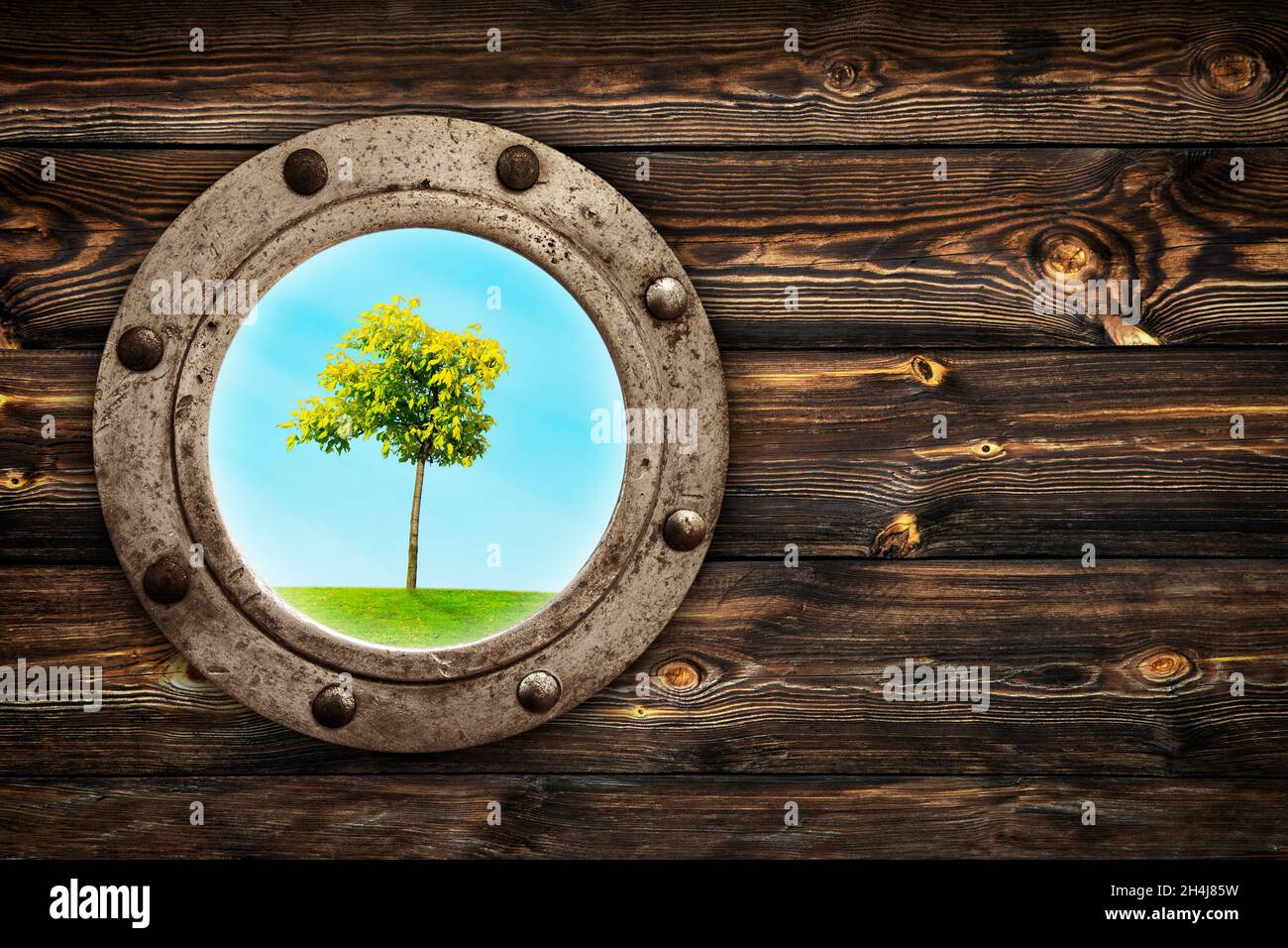 Close-up of an old rusty closed porthole window with  lonely tree standing on meadow view. Old rich wood grain texture background with knots. Stock Photo