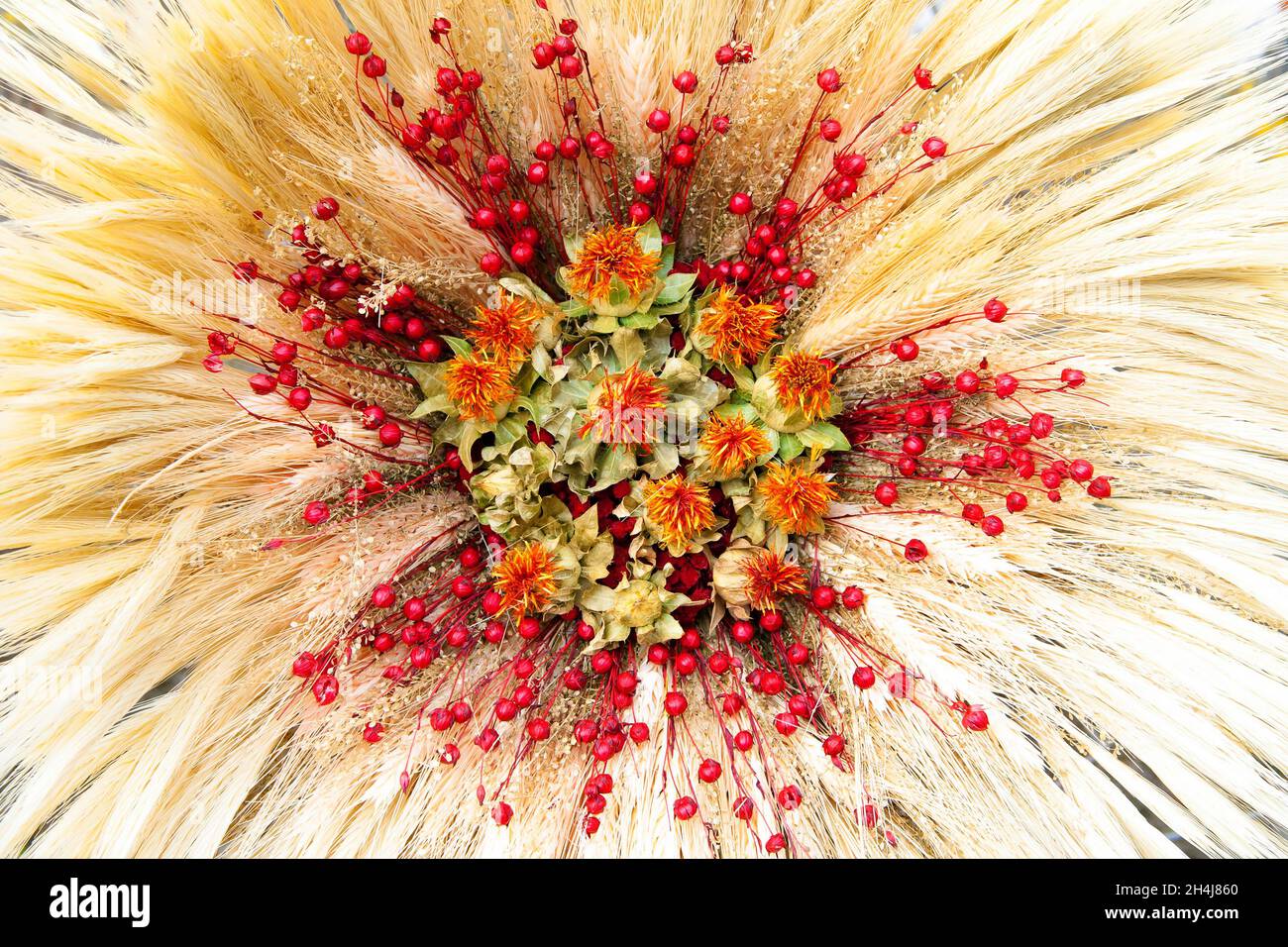 Dried wheat for crafts hires stock photography and images Alamy