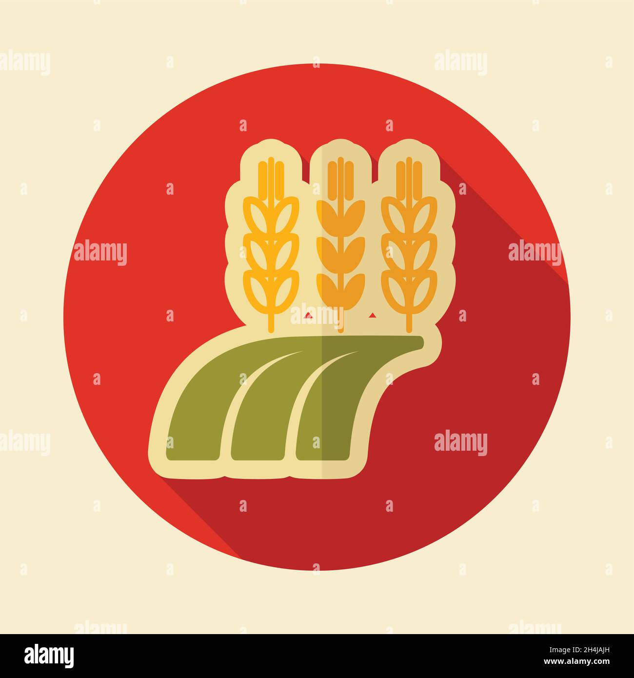Ears of Wheat, Barley or Rye on field icon. Agriculture sign. Graph ...