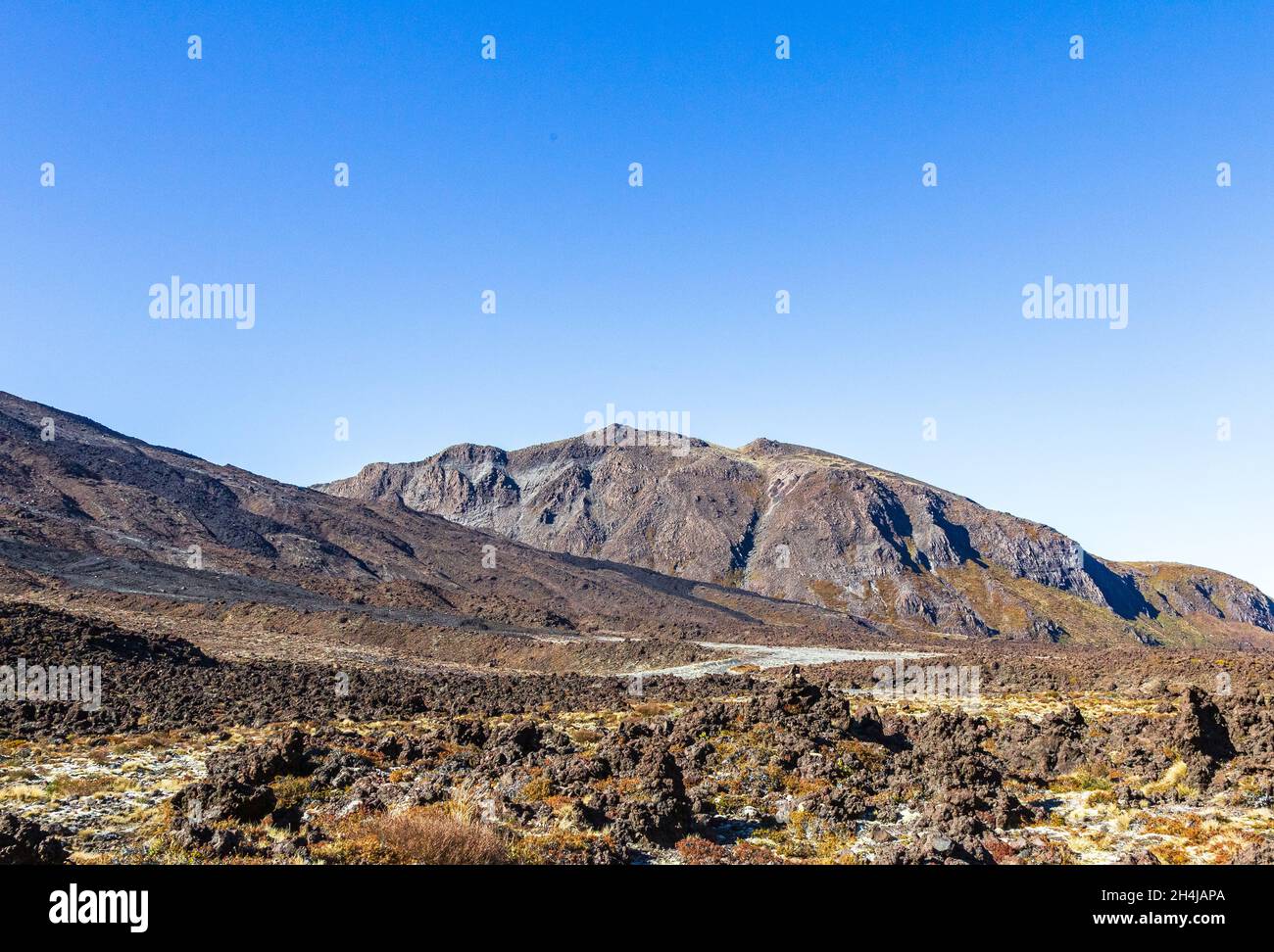 Tongariro National Park. Panorama of Valley. North Island. New Zealand ...