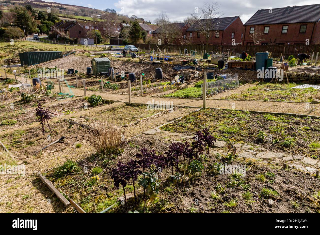 Allotments in Dod Naze, a small village above Hebden Bridge, West Yorkshire. Stock Photo