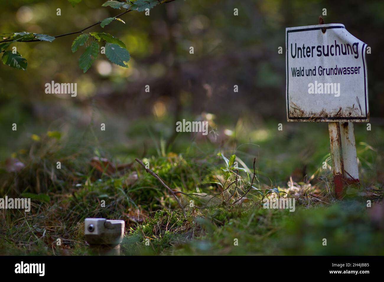 A sign in German with the inscription: Investigation of forest and groundwater and a well cover in the forest with moss and trees Stock Photo