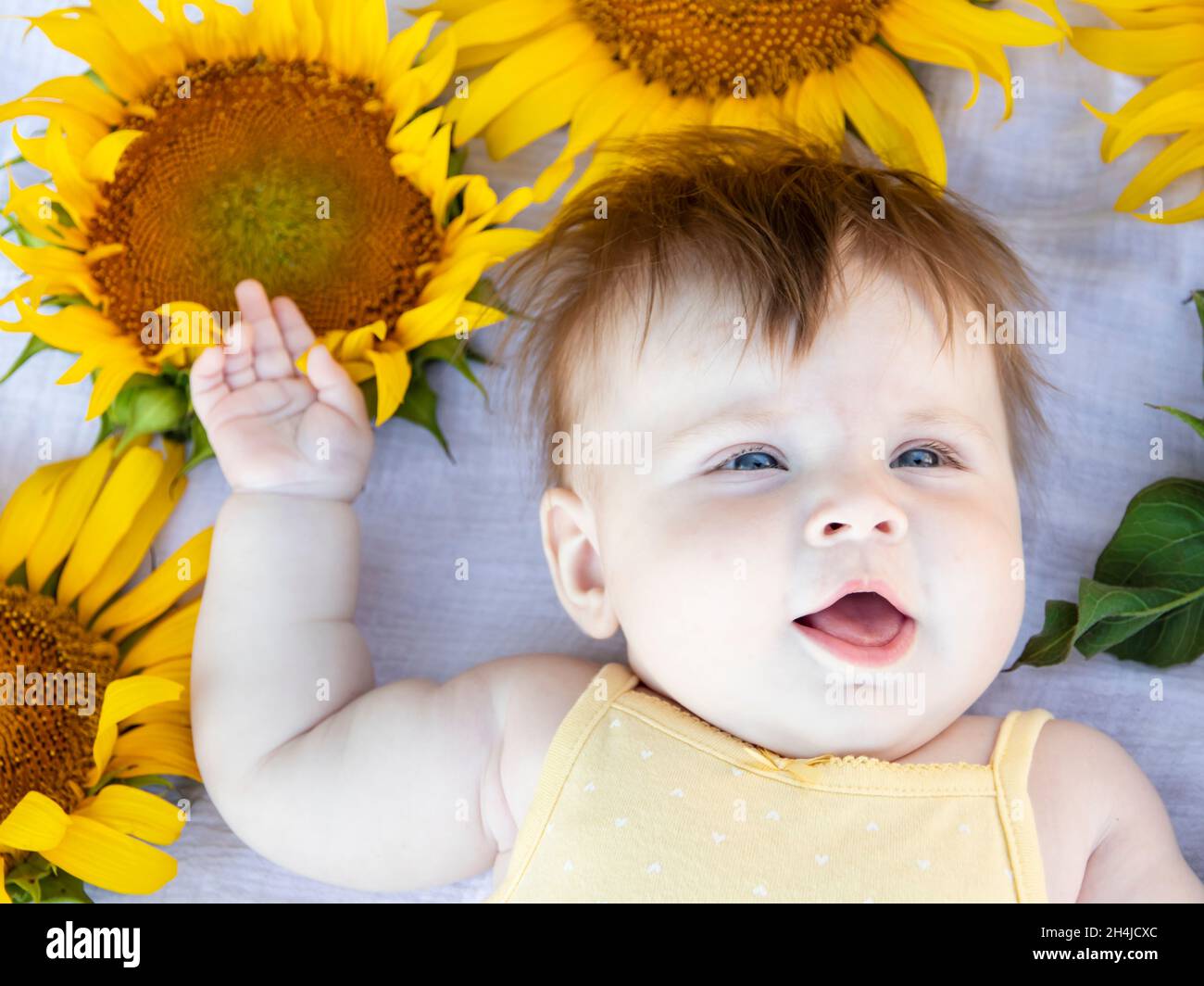 beautiful cute smiling white girl of five months lies in sunflowers. Stock Photo