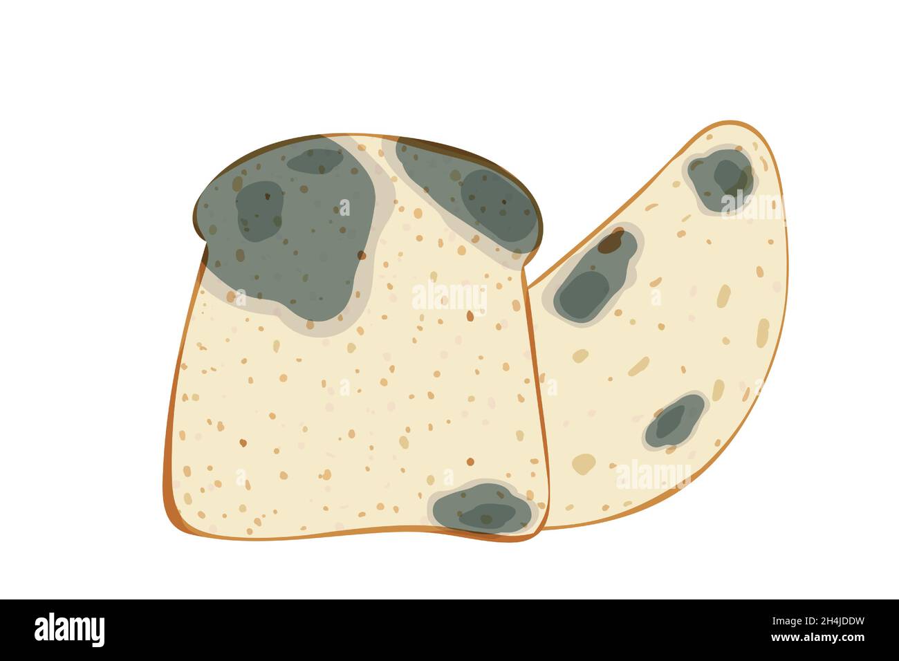 The mold on the loaf and toast bread, set isolated on white background Stock Vector