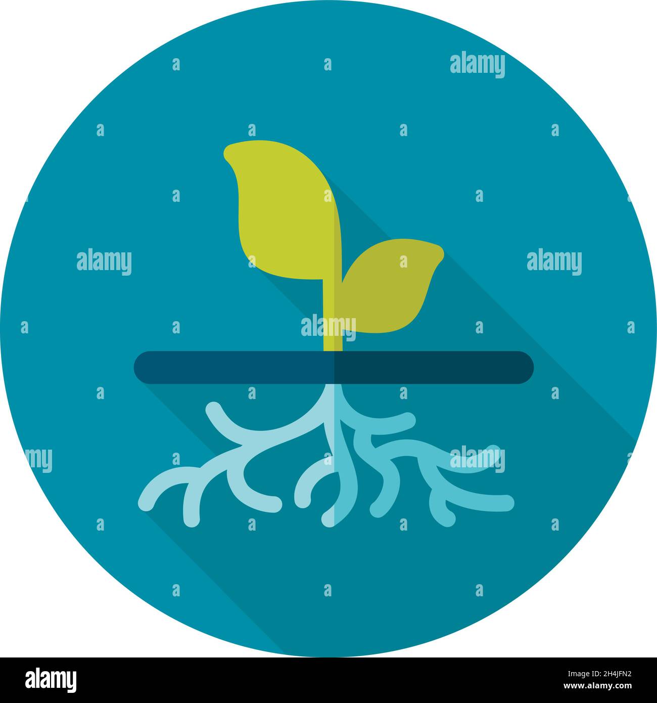 Isolated plant and roots Stock Vector Images - Alamy