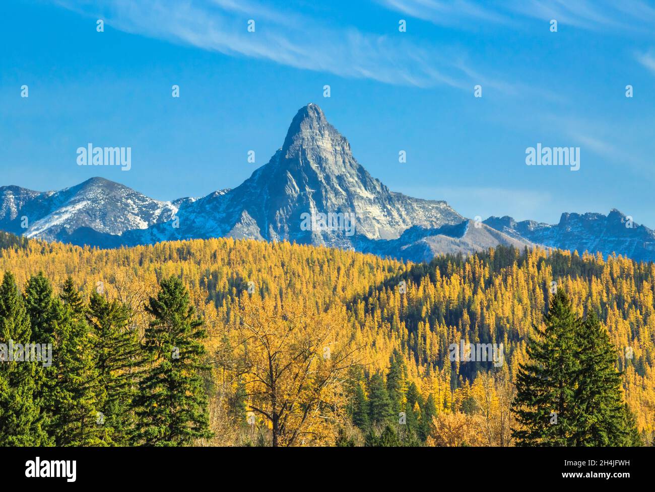 mount saint nicholas and foothills of autumn larch in glacier national park near essex, montana Stock Photo