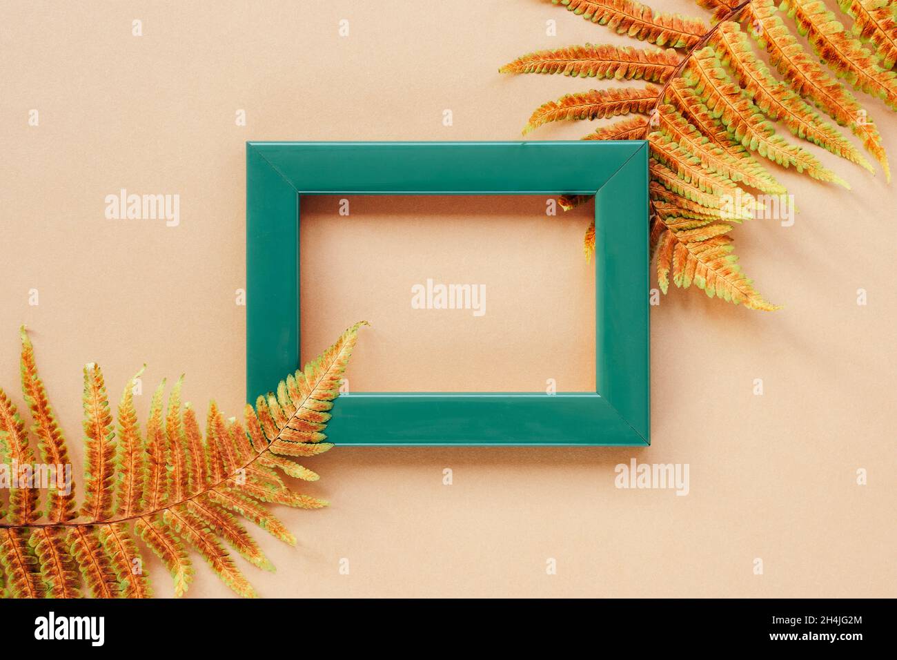 Blank green picture frame and yellow autumn fern leaves on beige background. Top view, flat lay. Mock up. Stock Photo