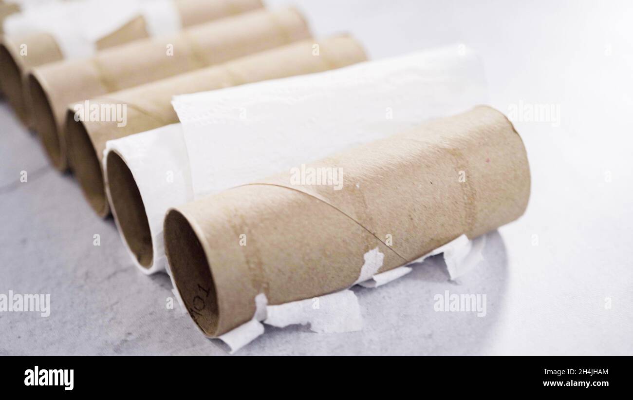 Empty toilet paper rolls on Stock Photo Alamy