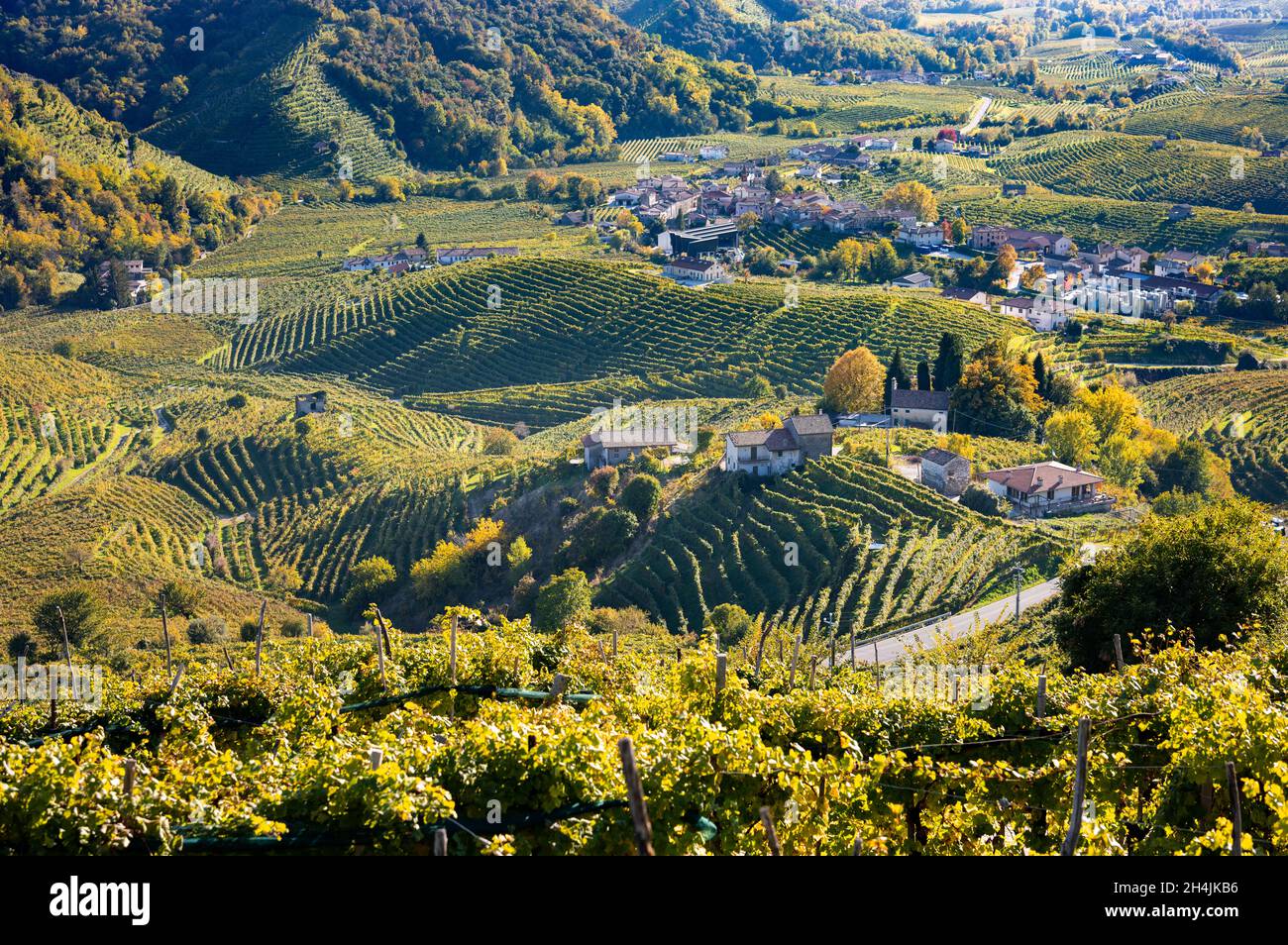 Valdobbiadene, hills and vineyards along the Prosecco road. Italy Stock Photo