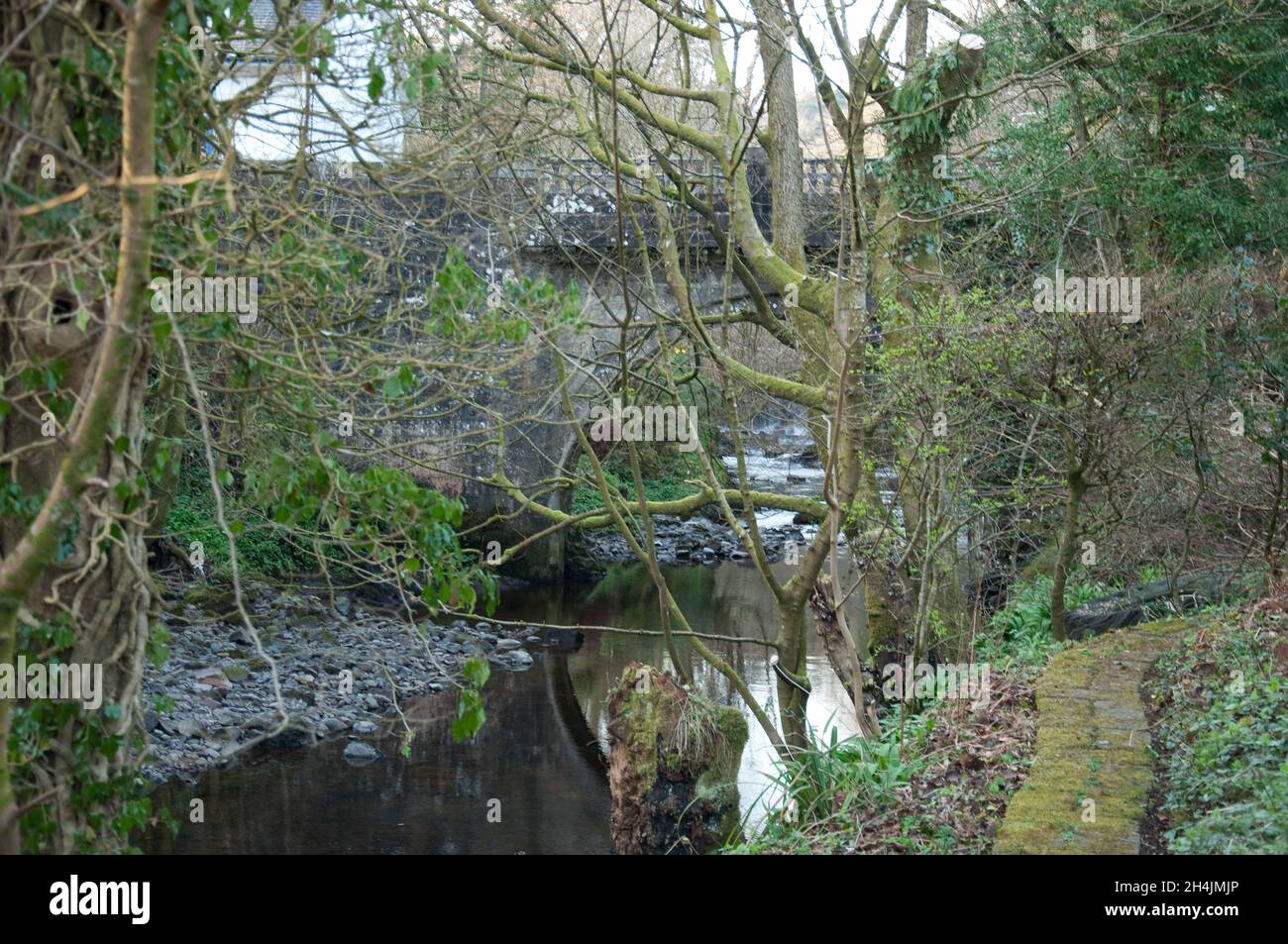 Bridge and stream, Lochwinnoch, Refrewshire, Scotland, UK Stock Photo Alamy