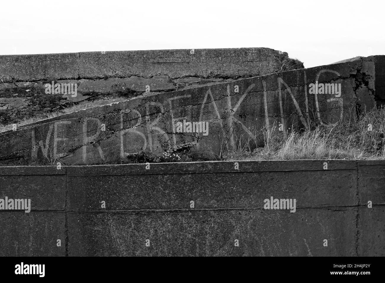 Best nature view Black and White Stock Photos & Images - Alamy