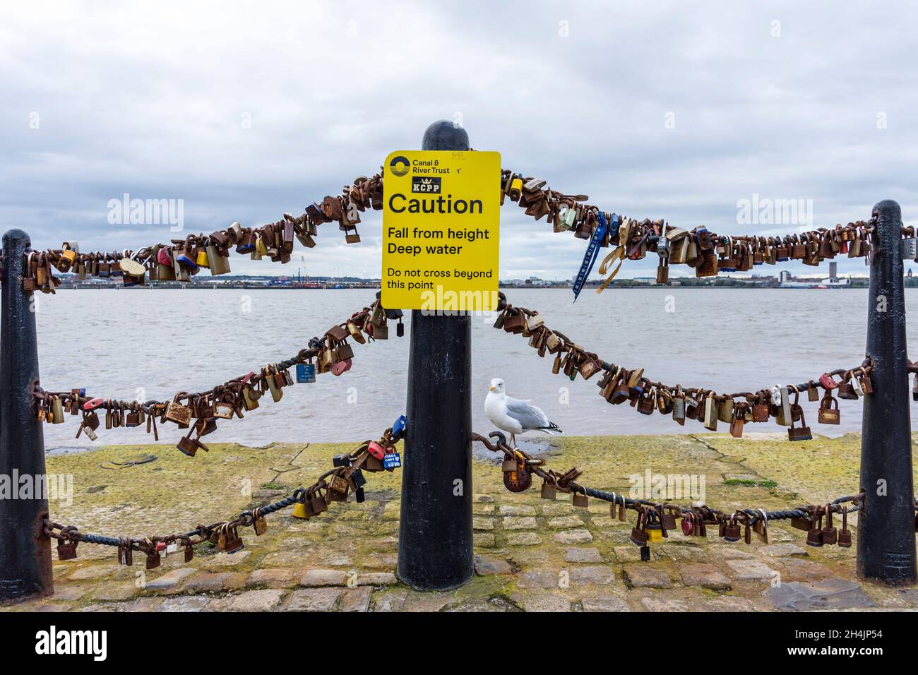 Lovelocks on railings by River Mersey, Liverpool docks, UK. Stock Photo