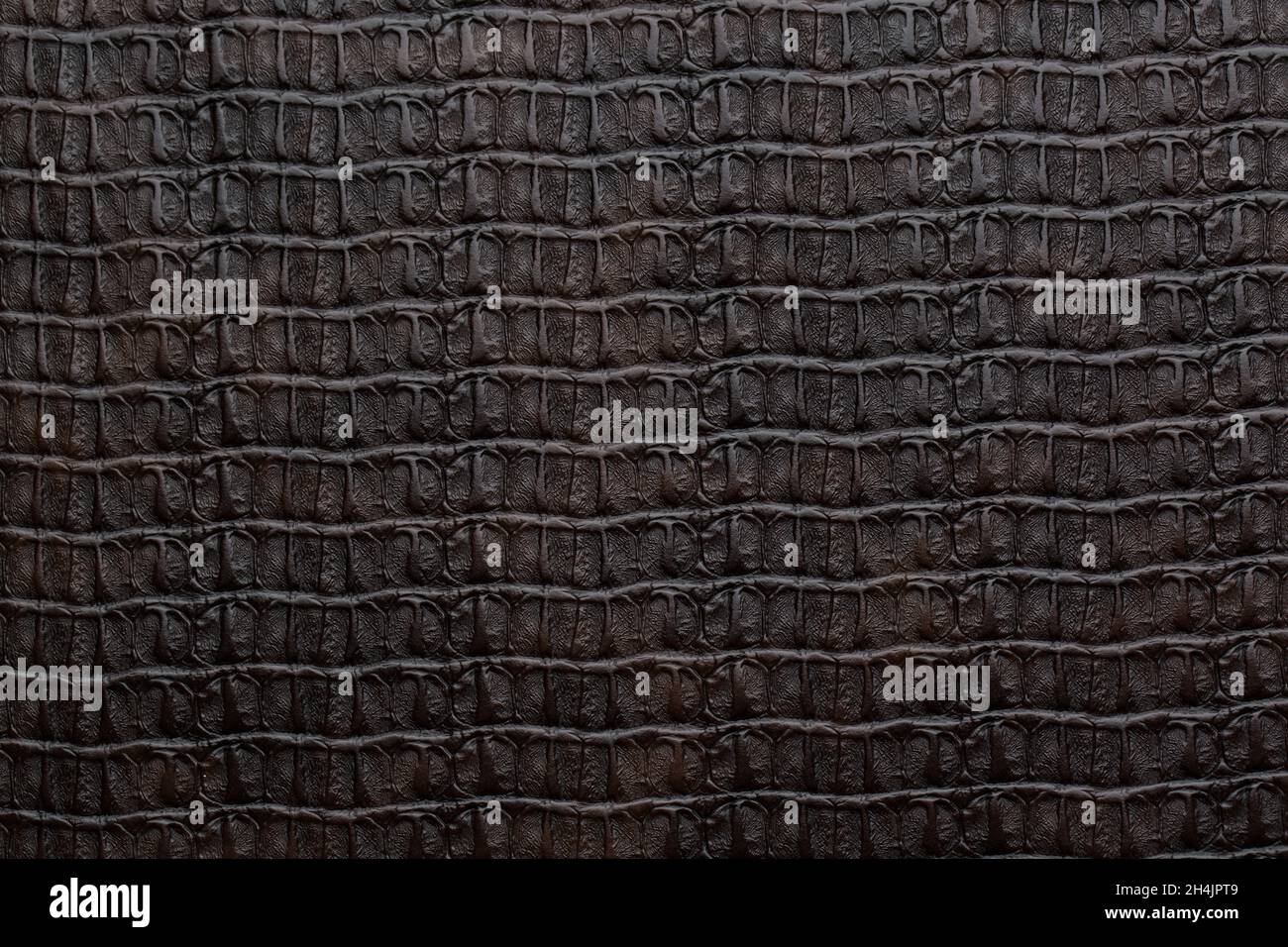 Premium Photo  Closeup of seamless crocodile black leather texture for  background