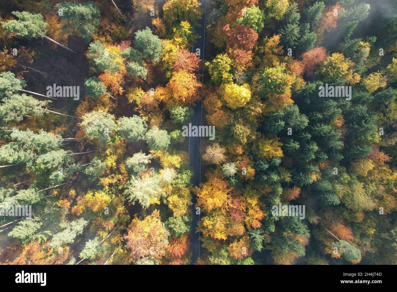 Flying over the autumn forest hi-res stock photography and images - Alamy