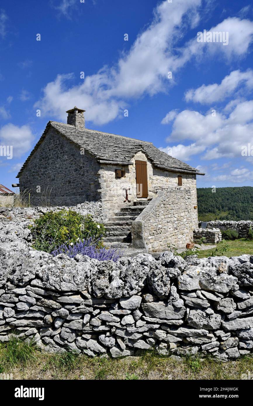 France, Lozere, Les H?rans, Causse M?jean, traditional stone house Stock  Photo - Alamy