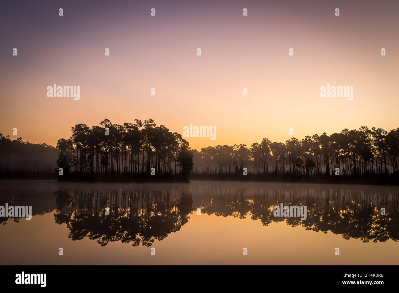 Silhouette of trees surrounding the lake on the sunset Stock Photo - Alamy