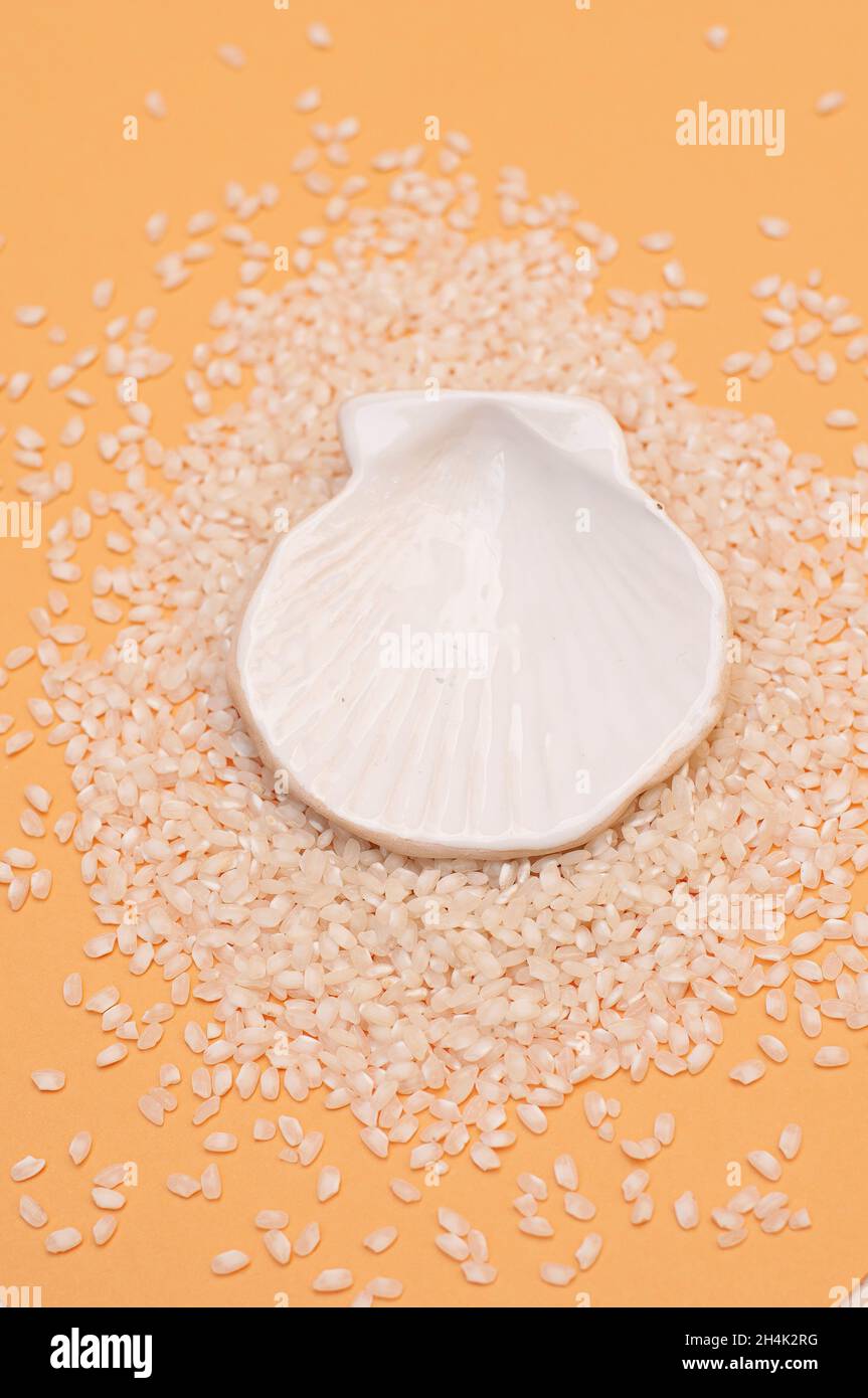 Ceramic seashell surrounded by raw rice on a table Stock Photo - Alamy