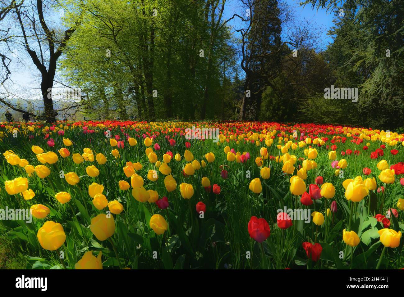 Mainaw hires stock photography and images Alamy