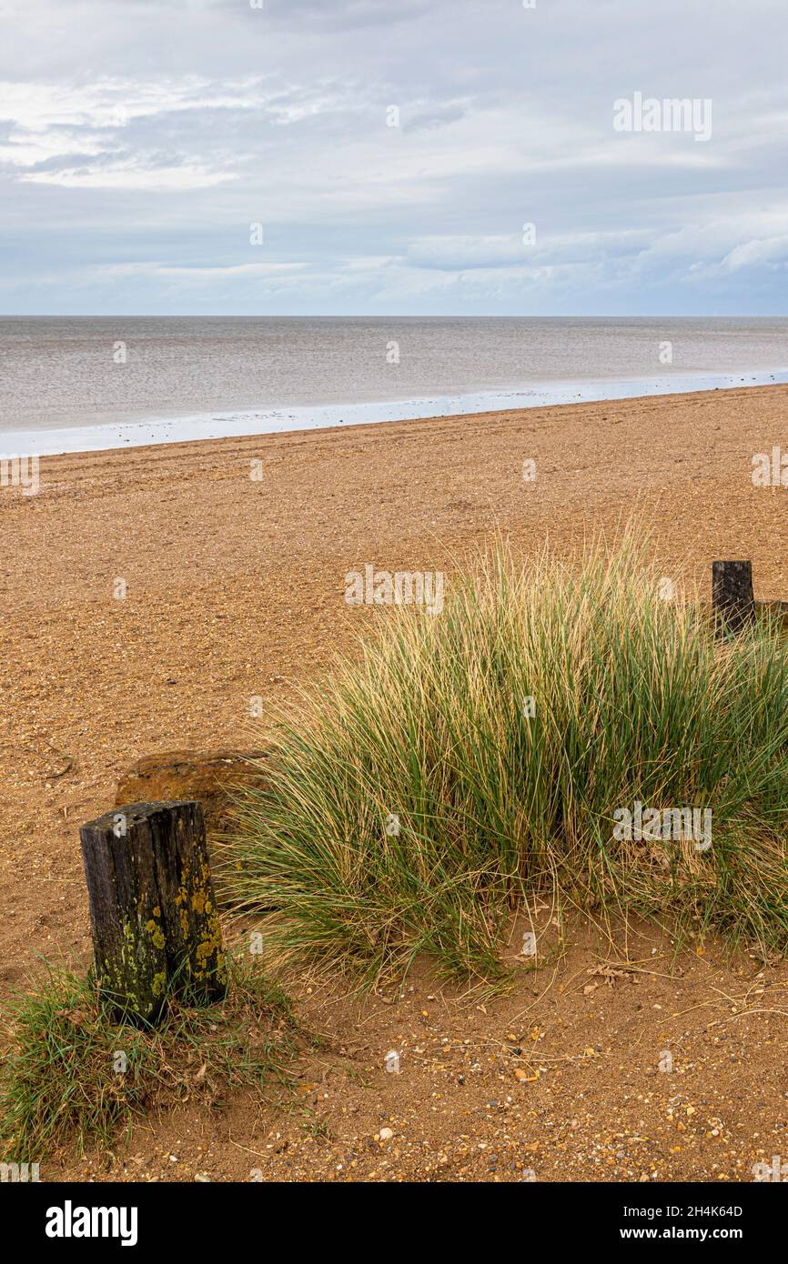 The shingle beach at Snettisham, Norfolk UK Stock Photo