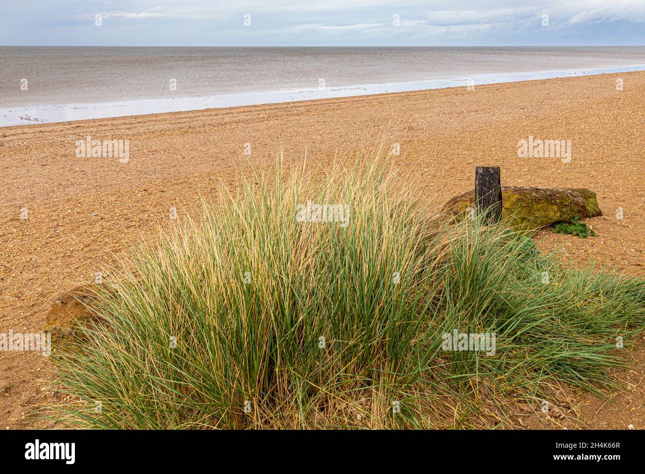 The shingle beach at Snettisham, Norfolk UK Stock Photo
