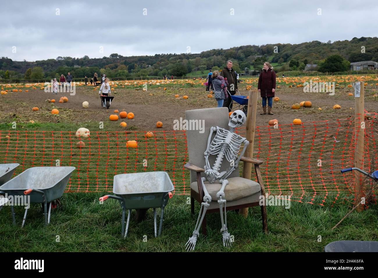 Pick your own pumpkins hires stock photography and images Alamy