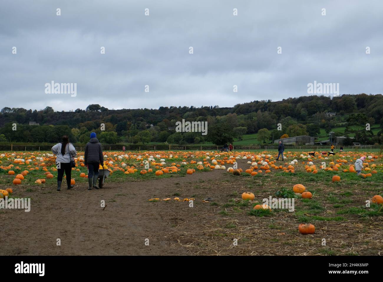 Ashover family farm hires stock photography and images Alamy