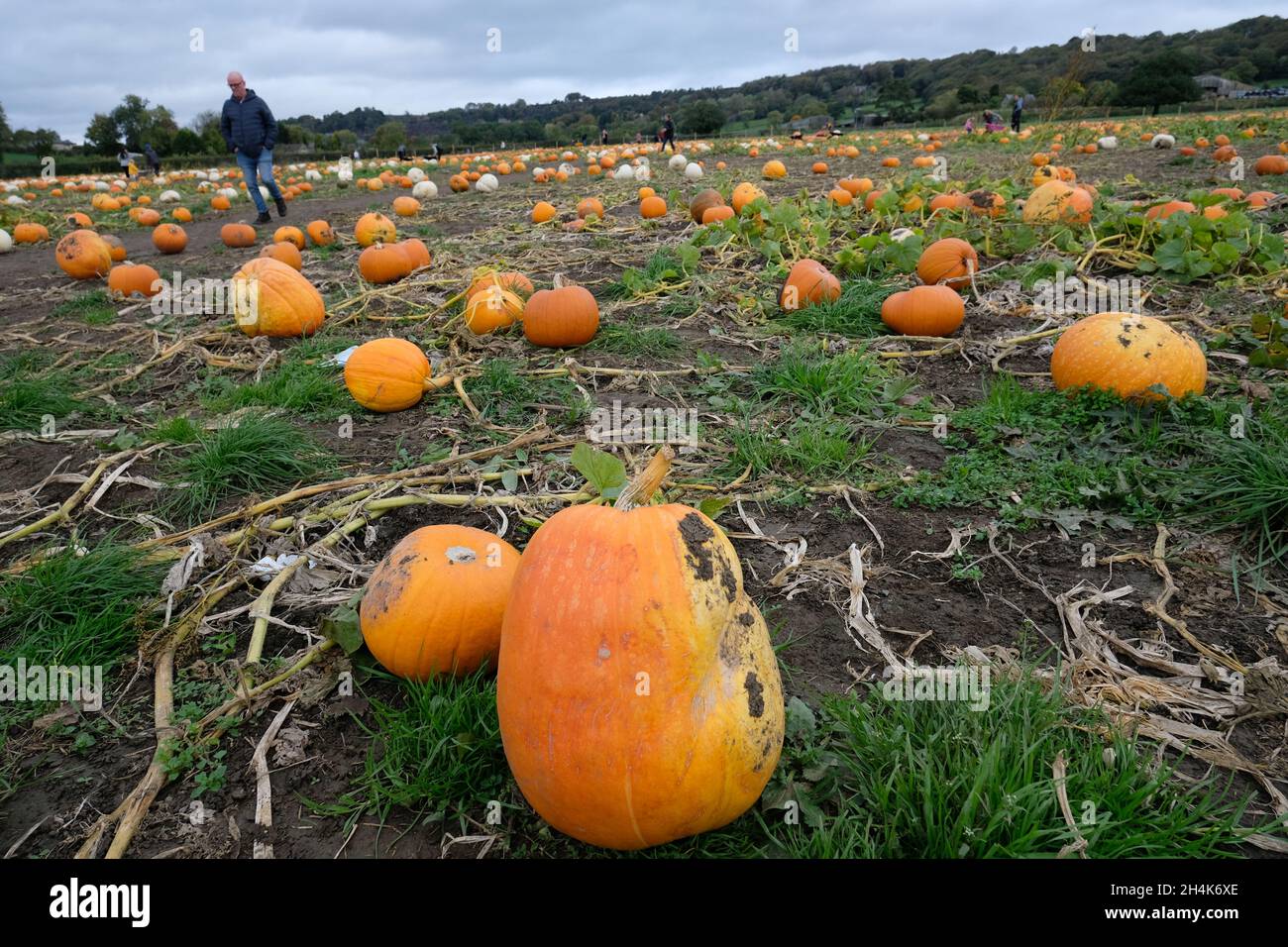 Ashover family farm hires stock photography and images Alamy
