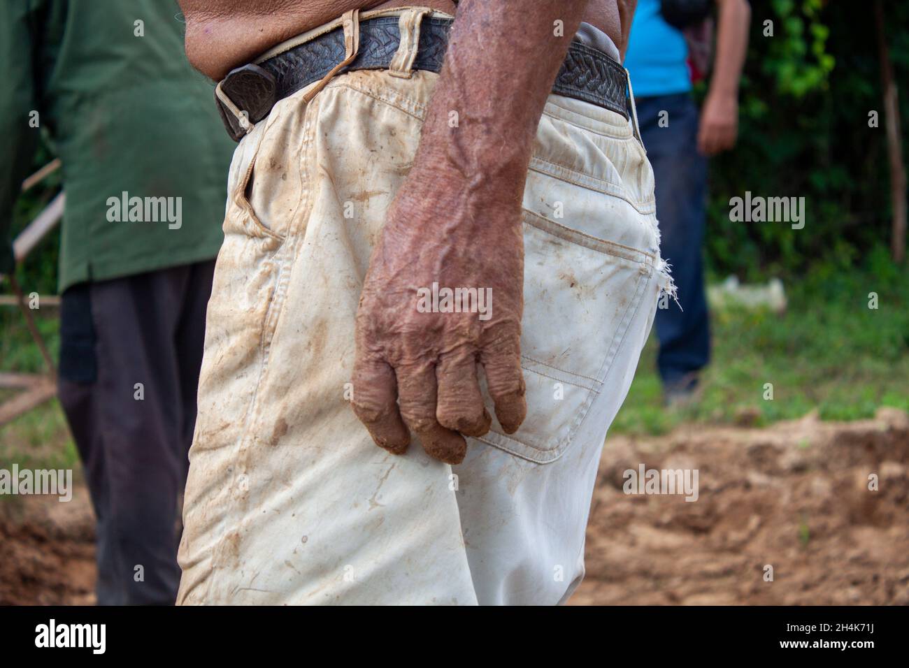 hands of a 92-year-old man dedicated to working in the fields Stock Photo