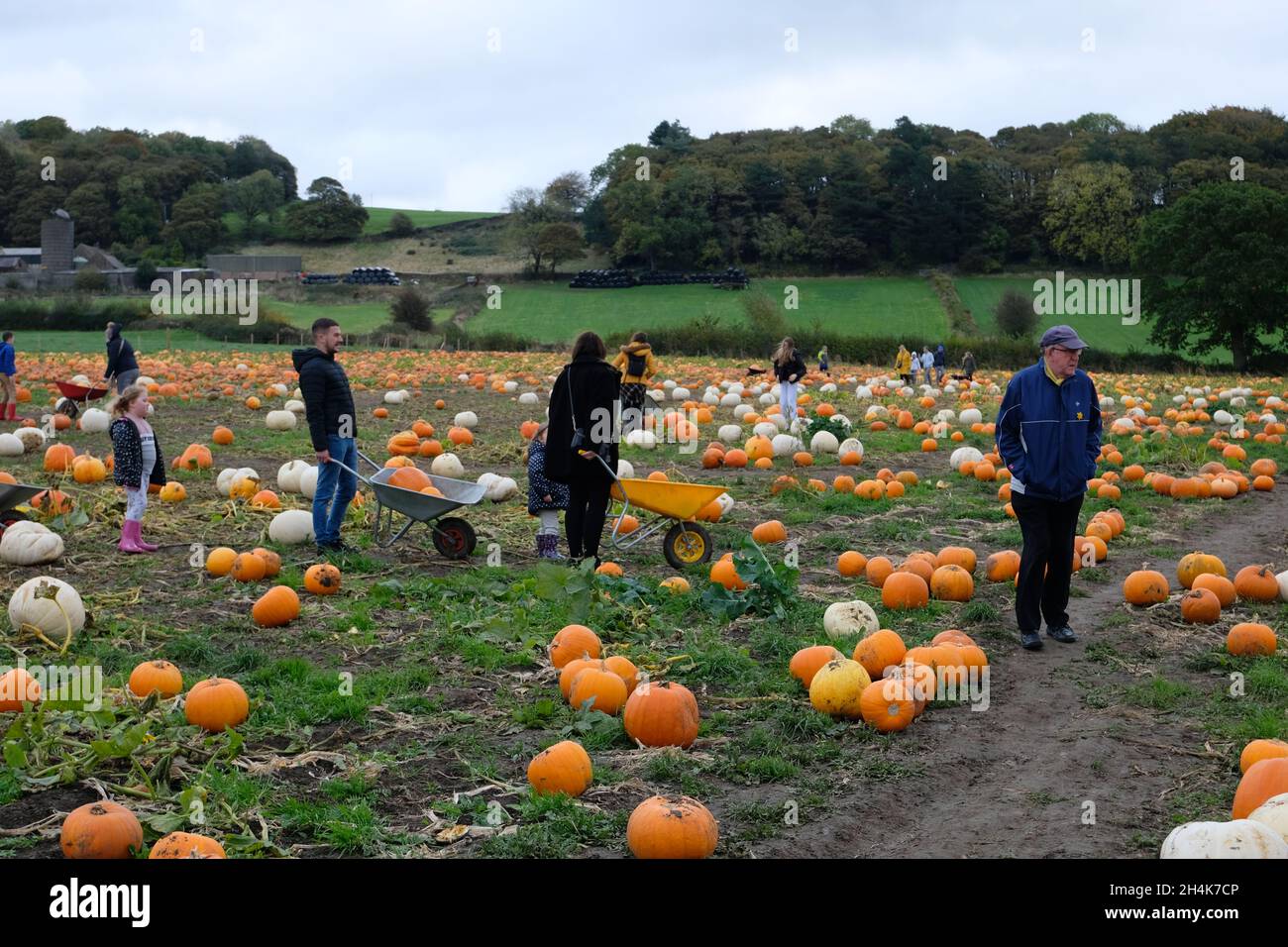 Ashover family farm hires stock photography and images Alamy
