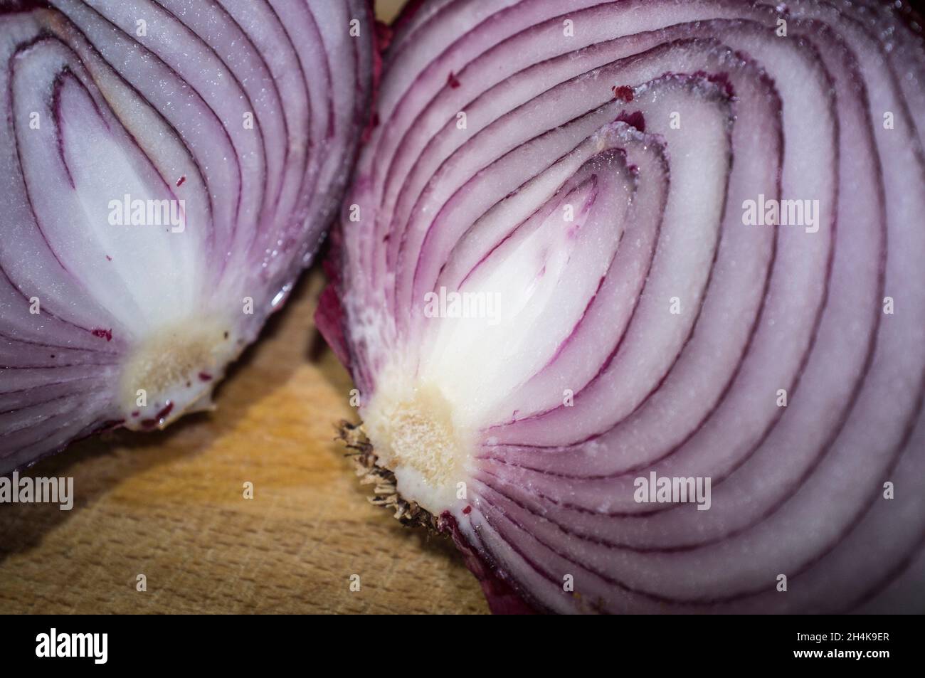 Cross section of an onion hi-res stock photography and images - Alamy