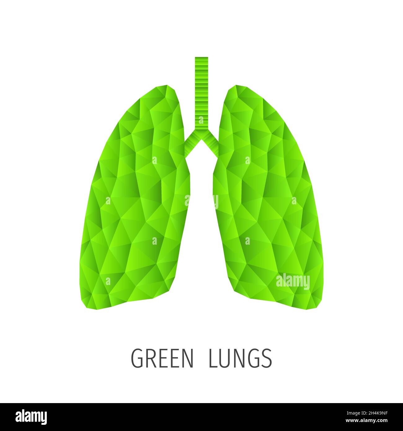 Polygonal green lungs isolated on white. Abstract low poly triangle ecology concept. Human internal organ. Medical vector icon. Stock Vector
