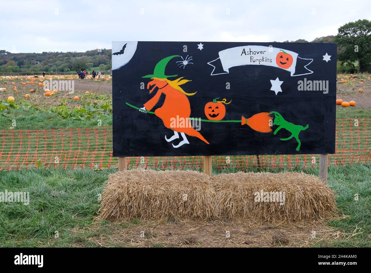 Halloween sign depicting witch and hay bale in front of field of