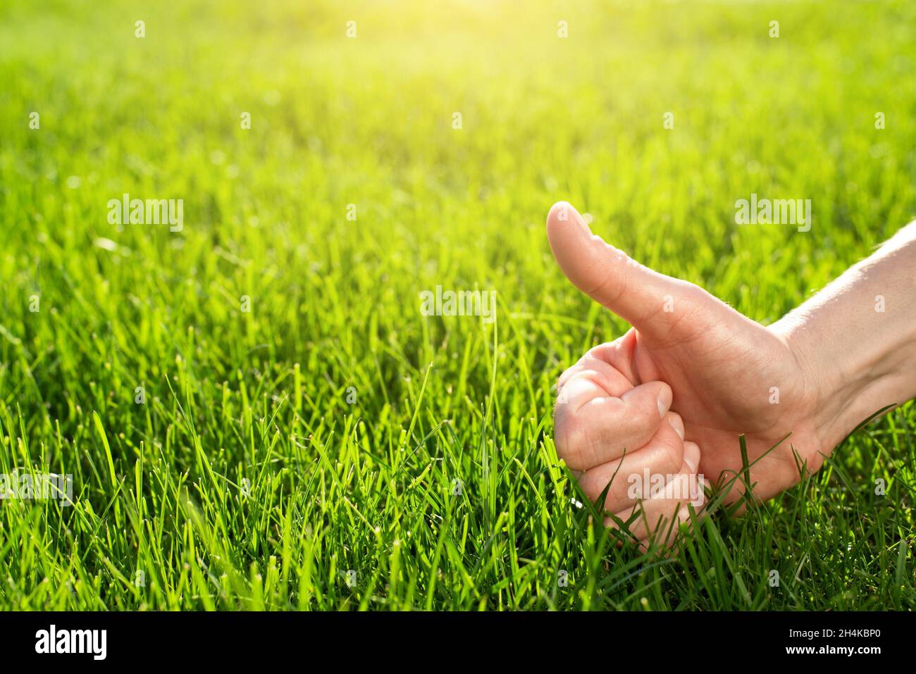 Thumb up gesture on grass lawn background. Stock Photo
