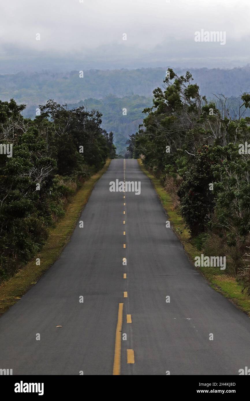 Long road in Hawaii, United States. Stock Photo