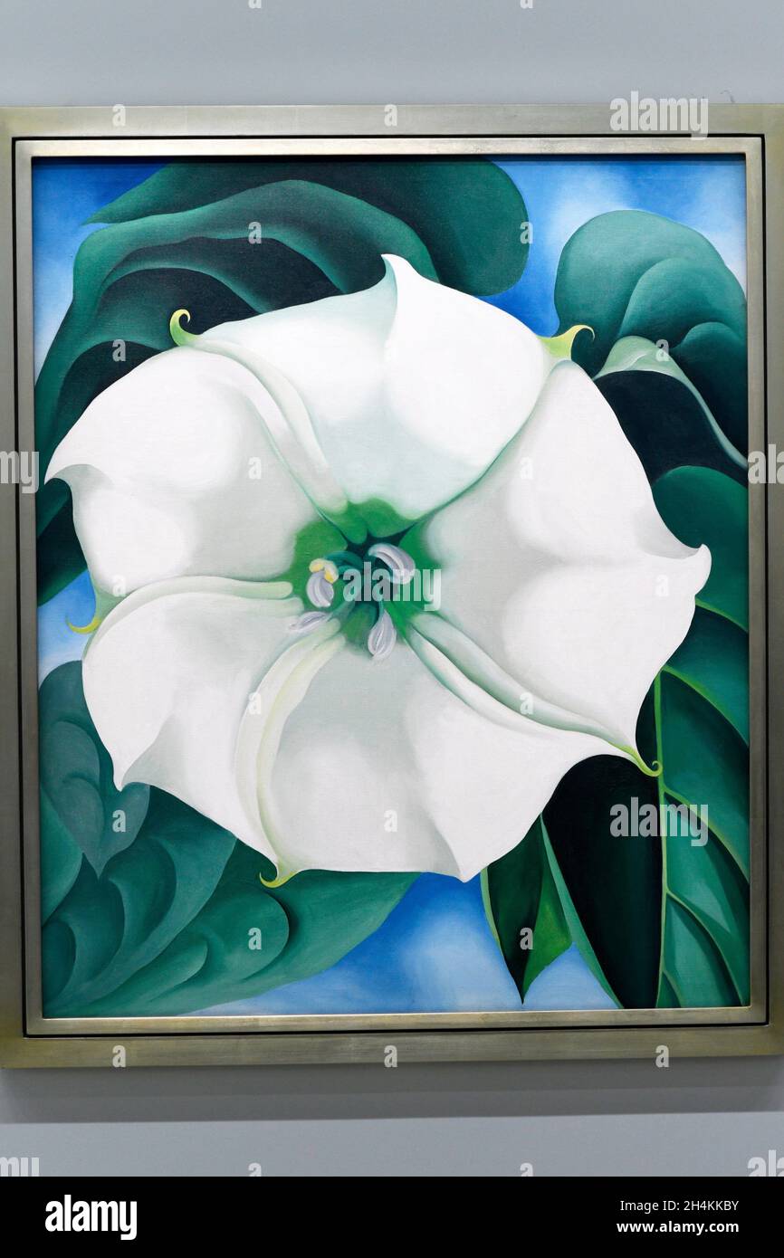 Jimson Weed / White Flower No 1, 1932 by Georgia O'Keeffe (1887-1986), Crystal Bridges Museum of American Art, Bentonville, Arkansas. Stock Photo