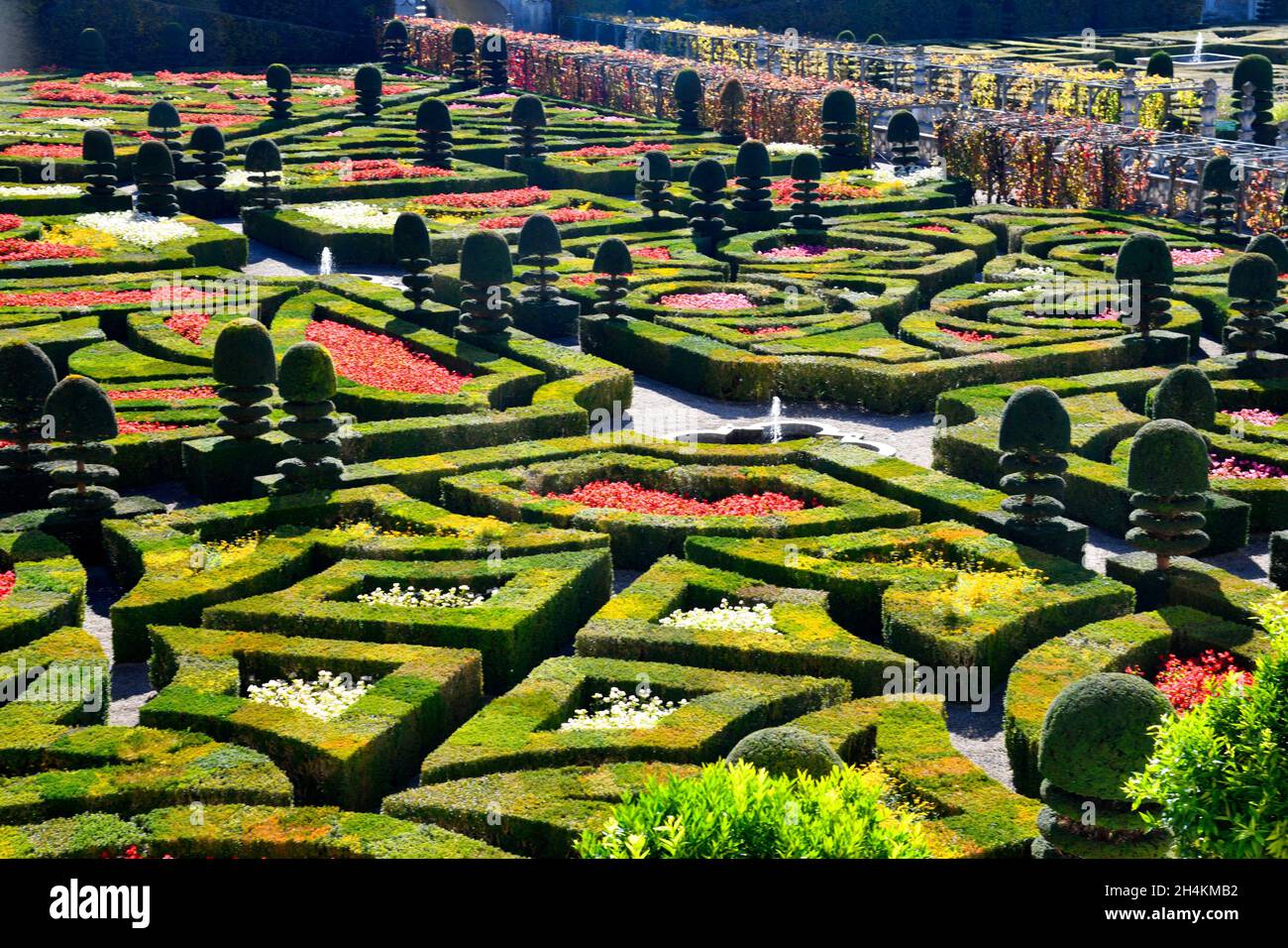 French garden, Chateau de Villandry, UNESCO World Heritage Site, Indre et Loire in the Loire Valley, France, Europe. Stock Photo