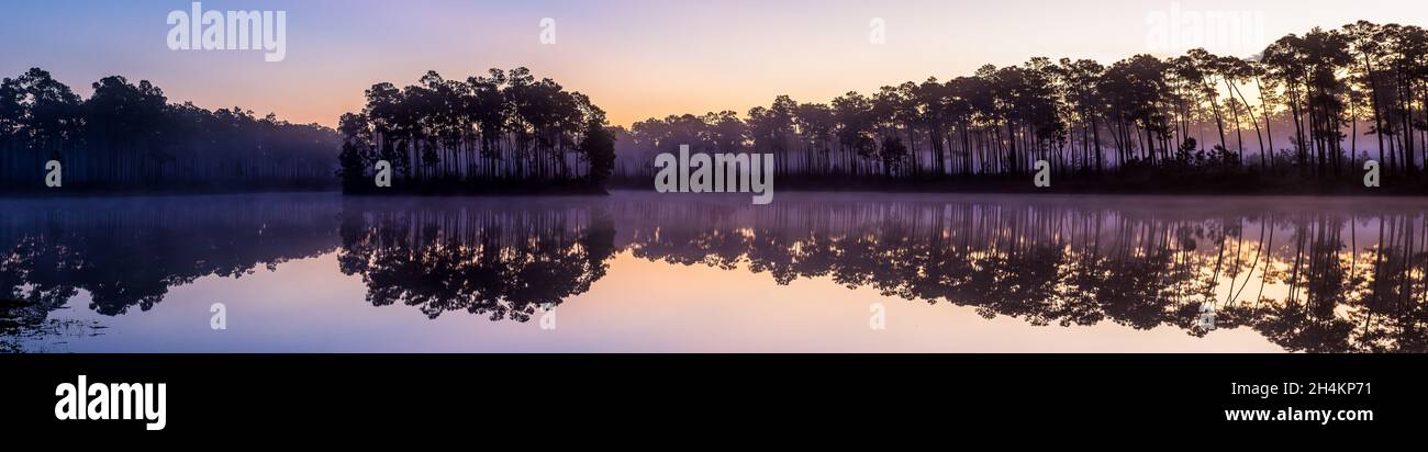Silhouette of trees surrounding a lake on the sunset Stock Photo - Alamy