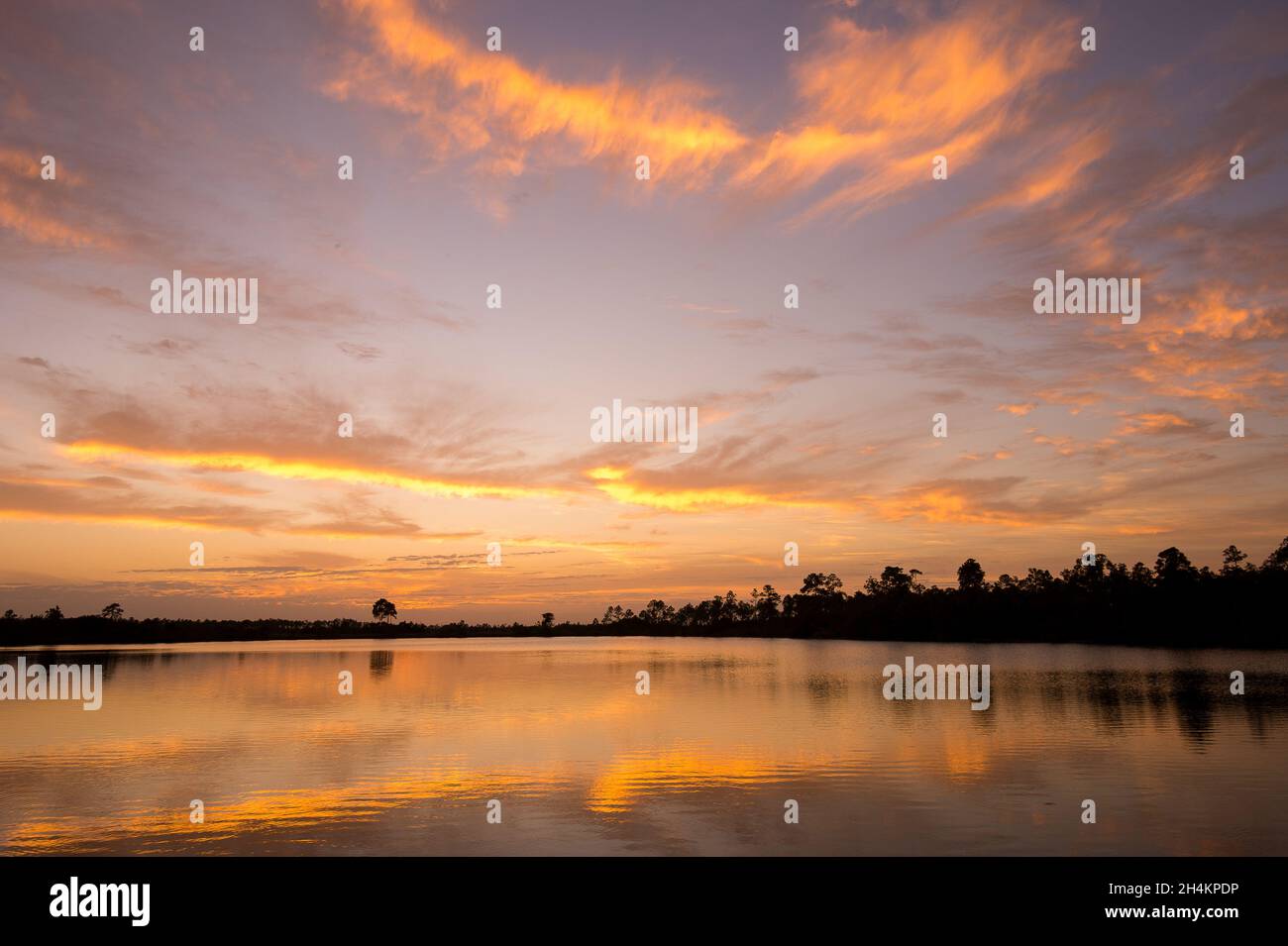 Silhouette of trees surrounding a lake on the sunset Stock Photo - Alamy