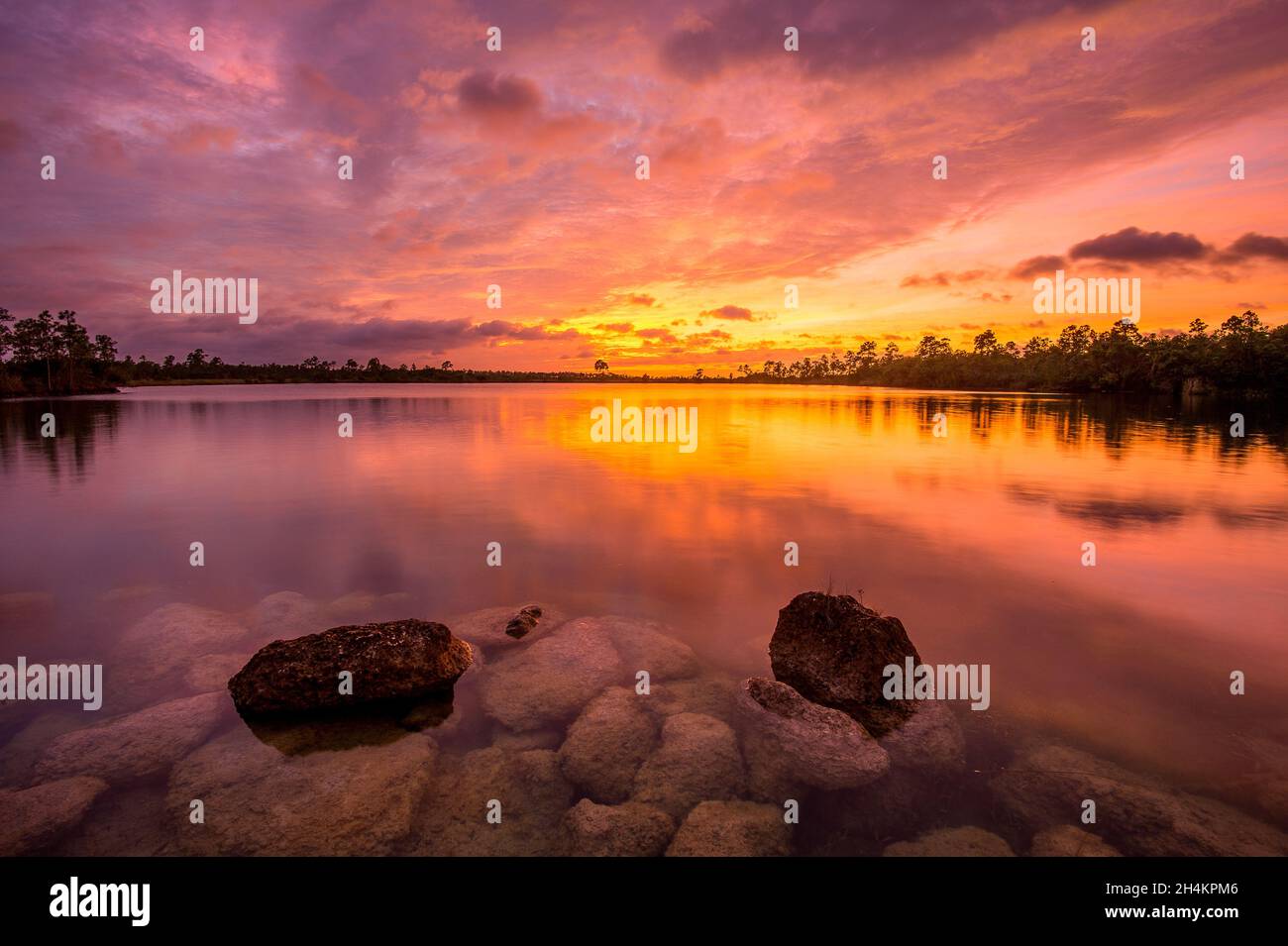 Silhouette of trees surrounding a lake on the sunset Stock Photo - Alamy