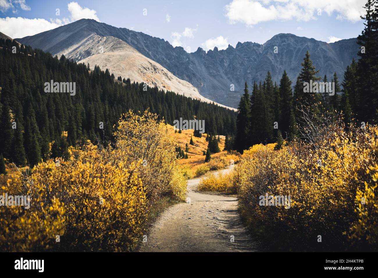 Fall foliage in the mountains hi-res stock photography and images - Alamy