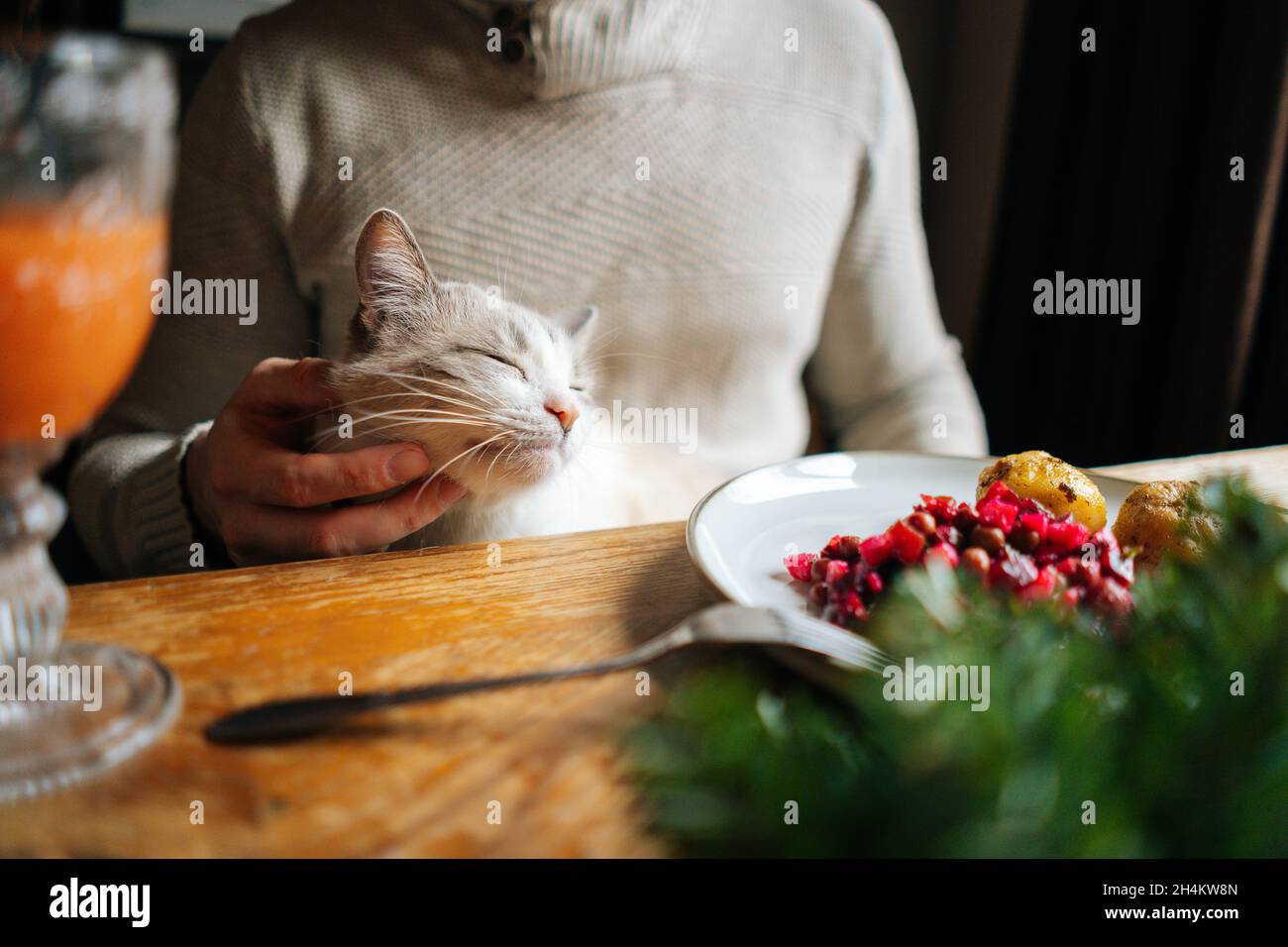 Close-up cropped shot of unrecognizable young man sitting at festive table with cat on lap during holiday party, selective focus. Stock Photo