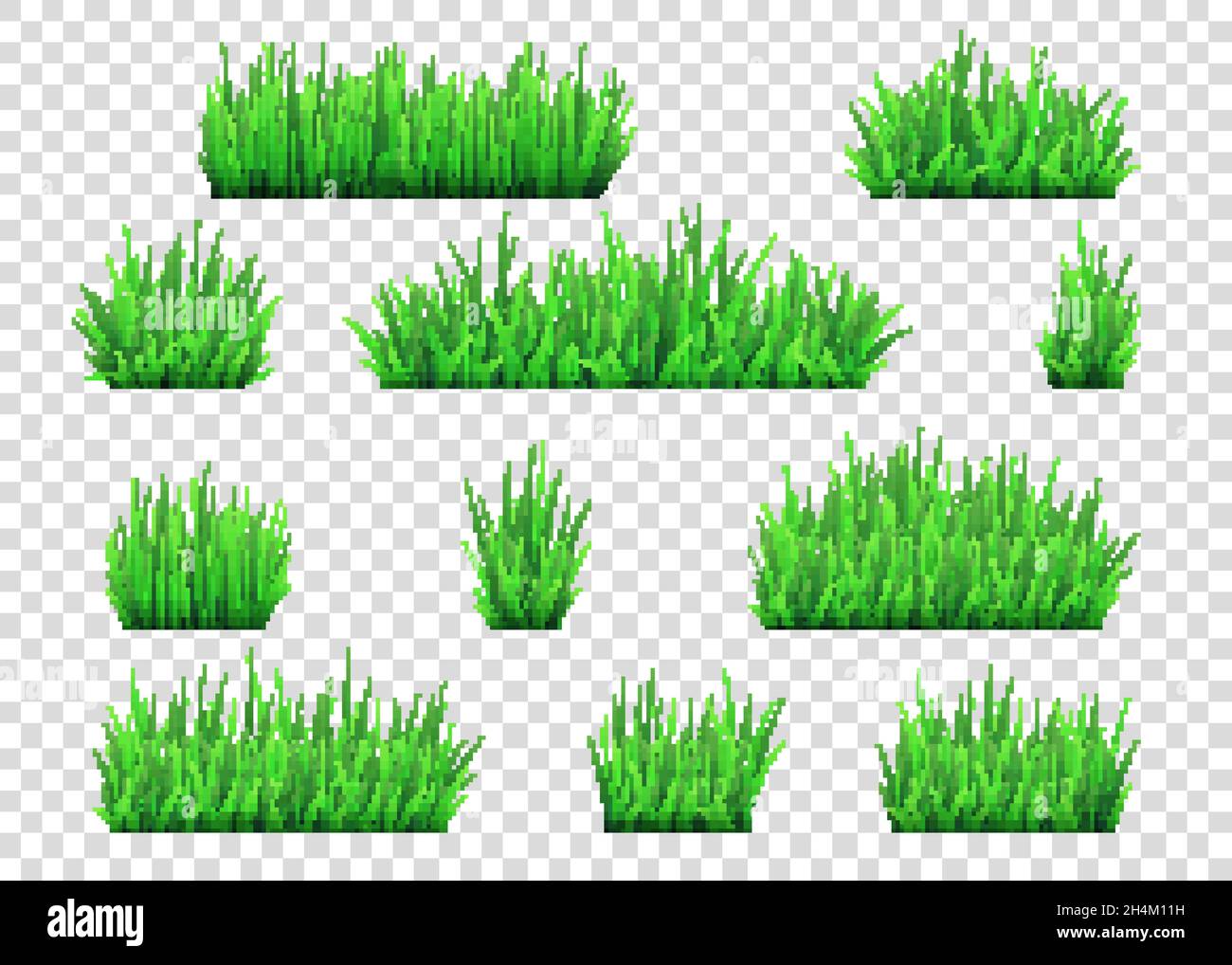 Green grass and bushes isolated on transparent  background. Vector texture. Stock Vector
