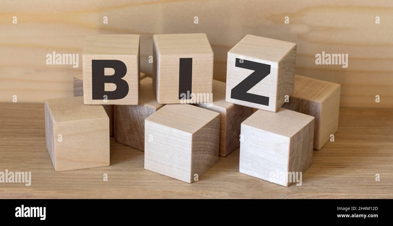 biz - isolated text in wooden building blocks Stock Photo