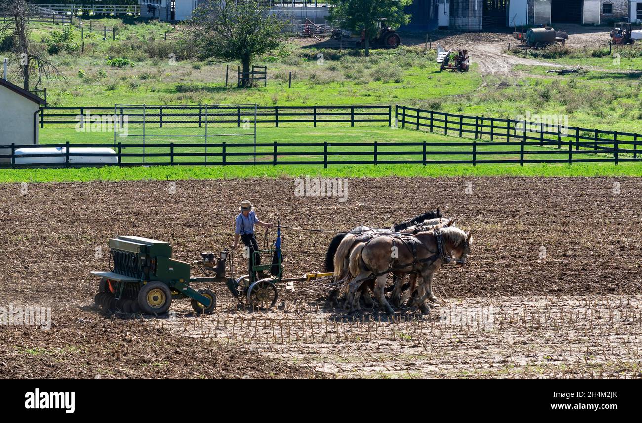Amish farmers farm people hires stock photography and images Alamy