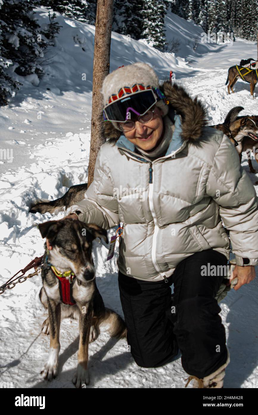 Banff National Park, dog sledding, Lake Louise, Alberta Stock Photo Alamy