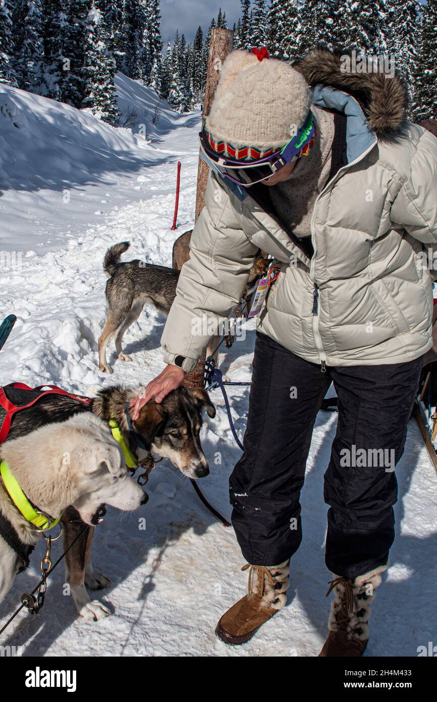 Banff National Park, dog sledding, Lake Louise, Alberta Stock Photo Alamy