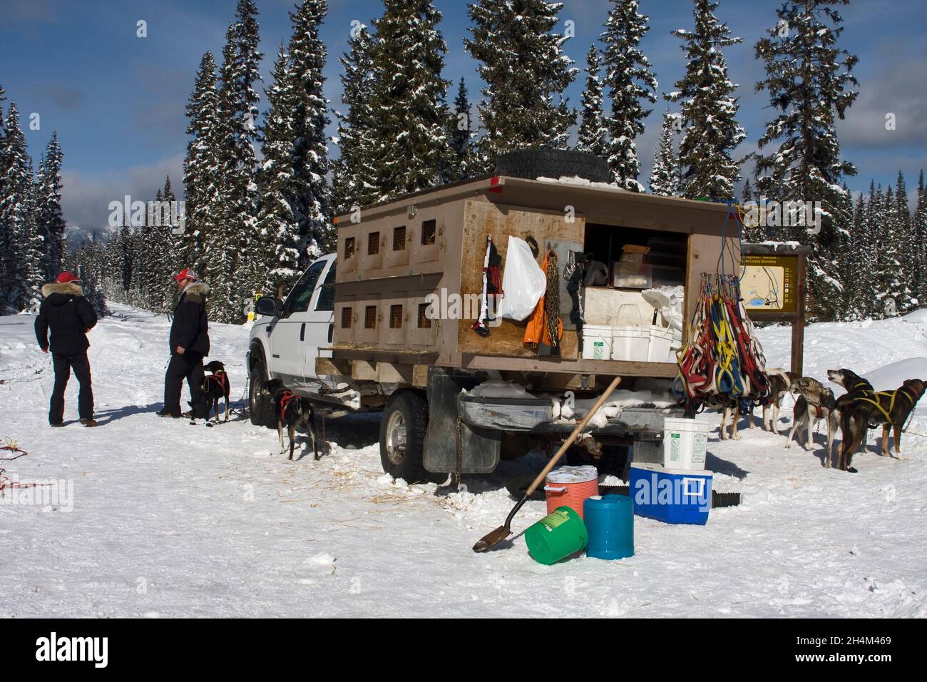 Banff National Park, dog sledding, Lake Louise, Alberta Stock Photo Alamy